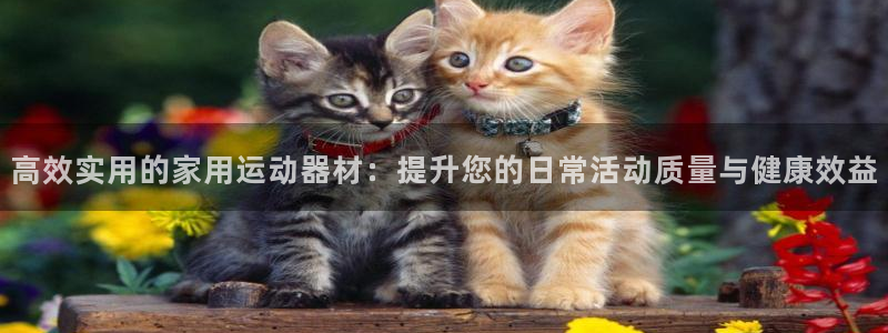 tpwallet官网下载招商电话地址：高效实用的家用