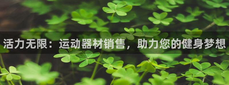 tpwallet官网下载软件：活力无限：运动器材销售