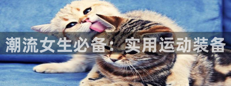 tp官方正版app集团E.ON：潮流女生必备：实用运