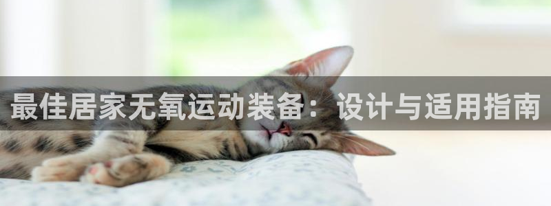 tp官方正版app科技：最佳居家无氧运动装备：设计与