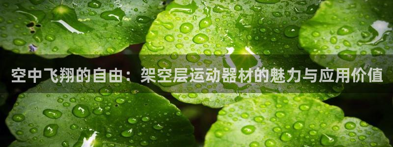 tp官方正版app神州：空中飞翔的自由：架空层运动器