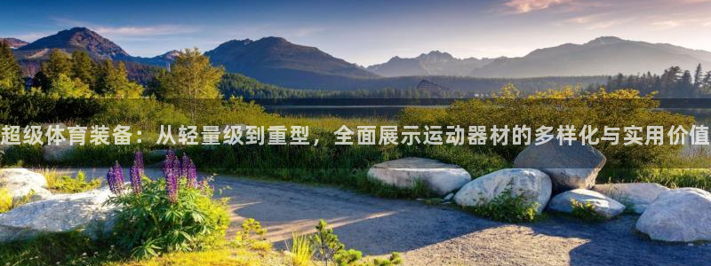 tpwallet官网下载平台注册流程图：超级体育装备