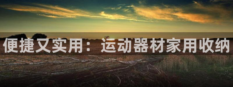 tpwallet官网下载软件：便捷又实用：运动器材家用收纳