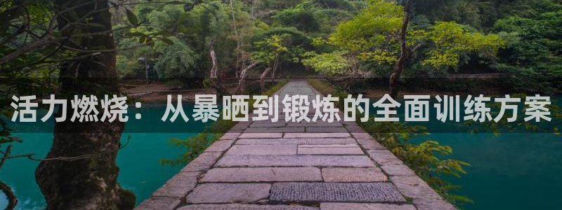 tp官方正版app代理