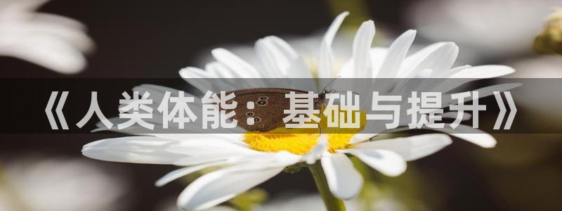 3377体育app下载安装