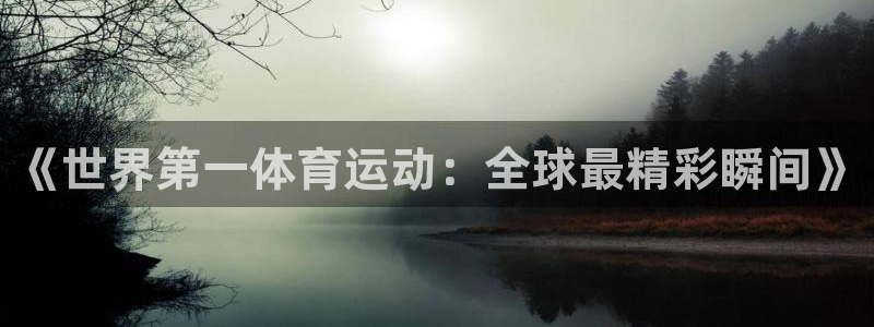 3377体育app登录入口