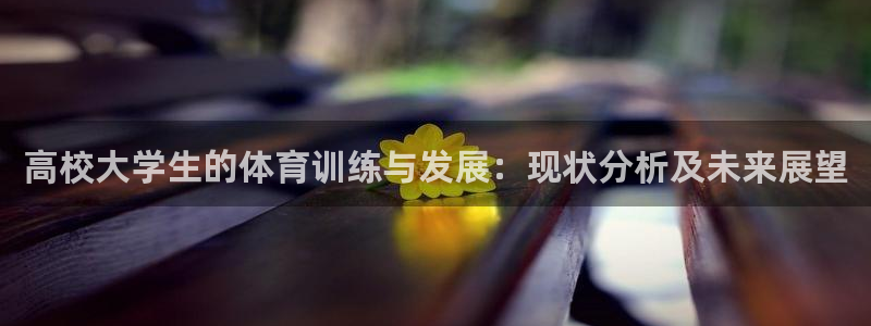 3377体育在线