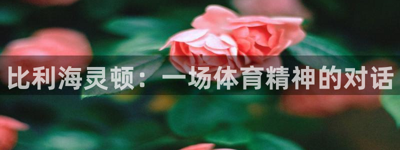 3377体育com