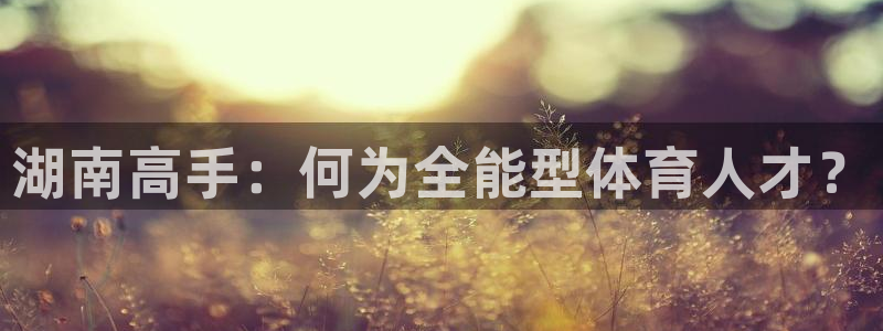 3377体育