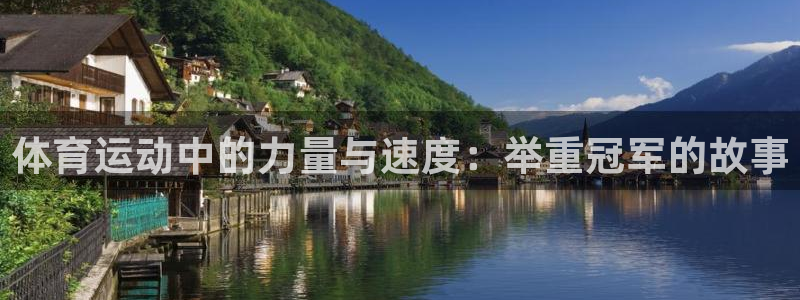 3377体育