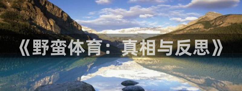 3377体育全网