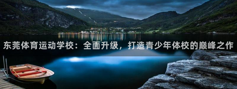 3377体育官网入口网页版