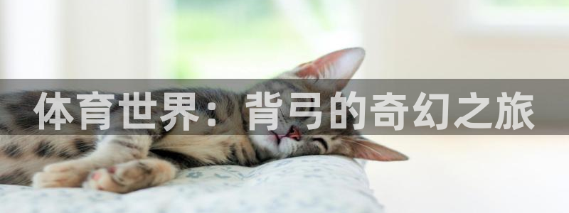 3377体育是正规的吗