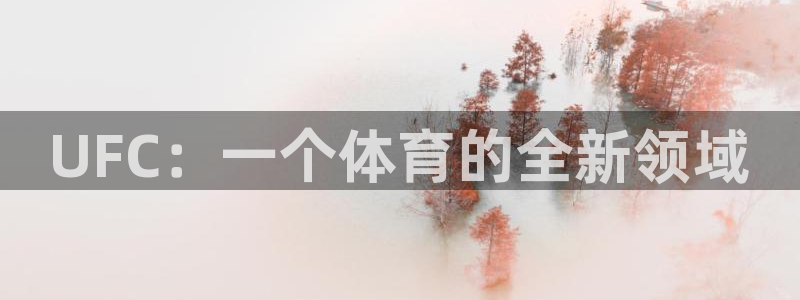 3377体育网页登录入口