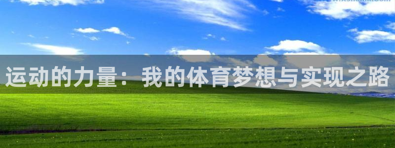 3377体育中国官方网站入口